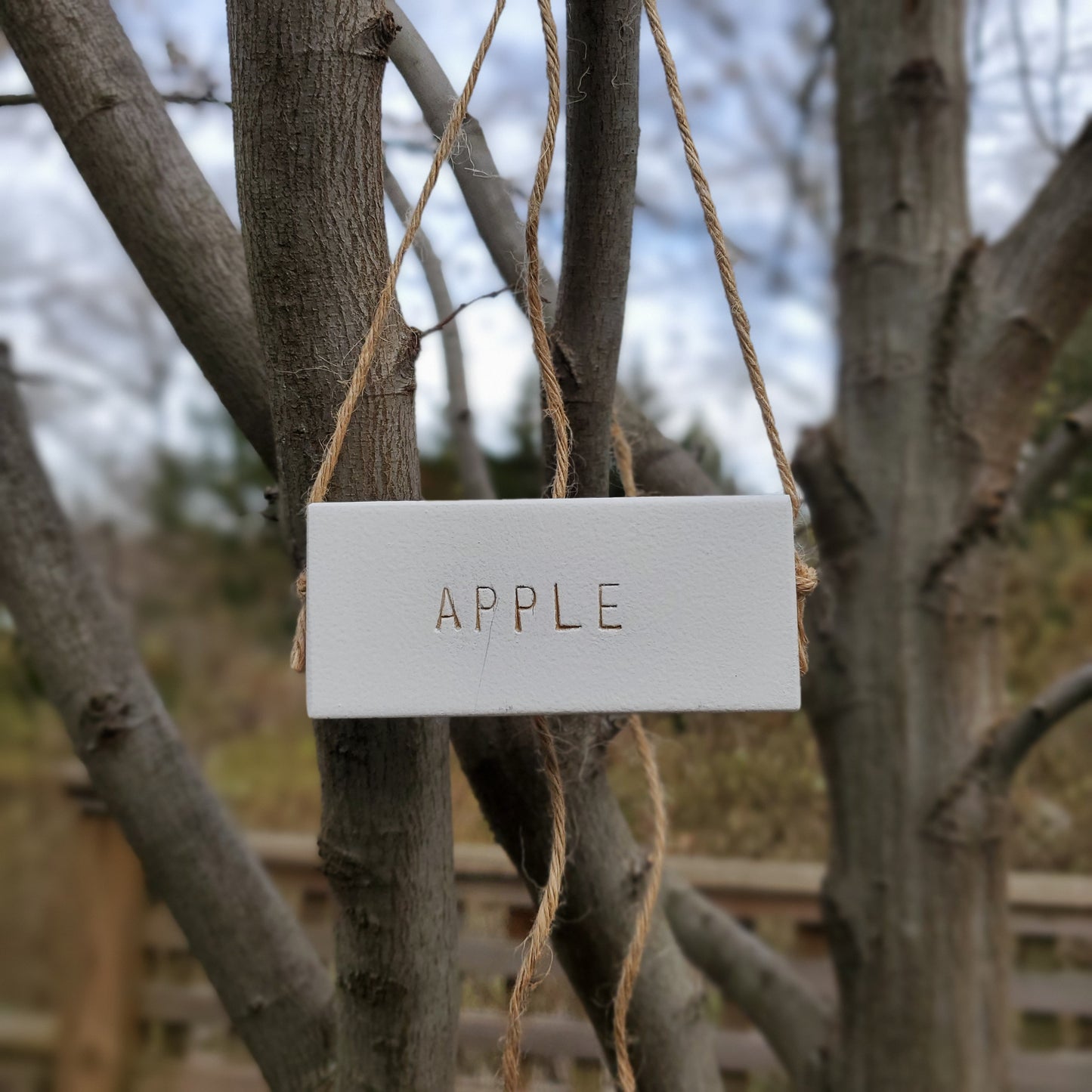 apple tree white tag