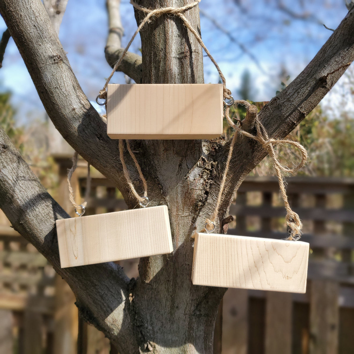 Timber Logging Tag DIY Blank Tree Tags – Timber Taberna