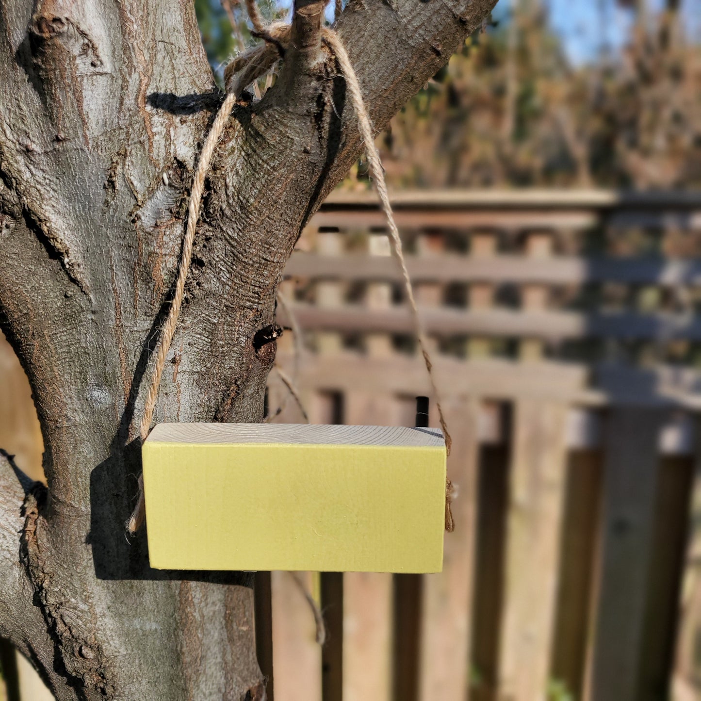 yellow tree tag hanging on a branch